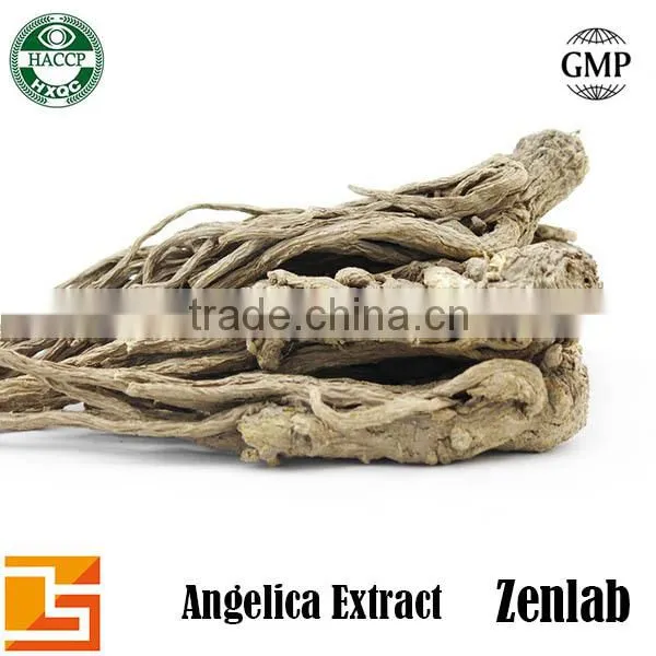 Extract Powder Angelica for Cosmetic Angelica Ingredients photo-4