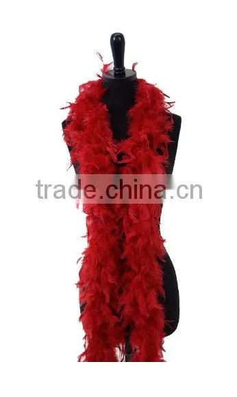 Deluxe Costume Accessory Feather Boa photo-6