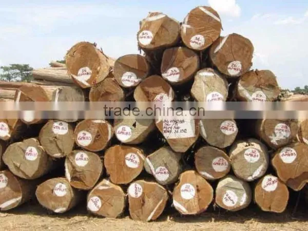 Wood Logs photo-2