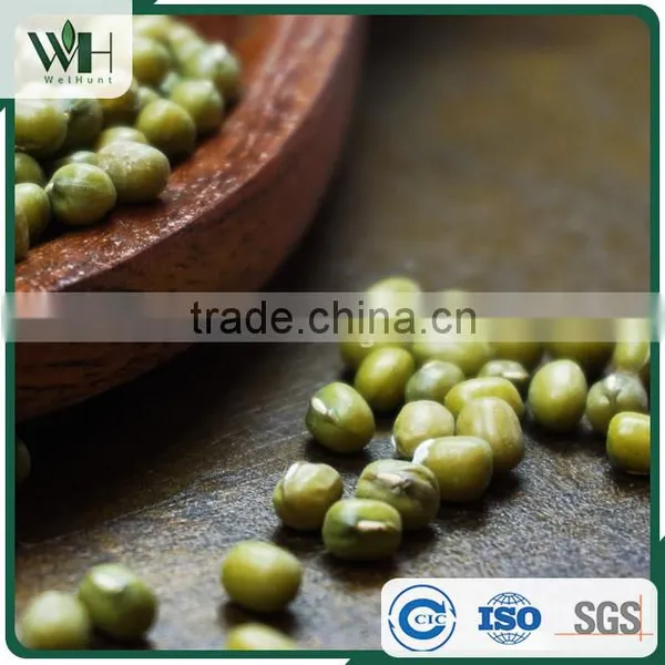AMA Certified Green Mung Bean photo-3