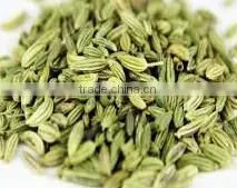 Fennel Seeds
