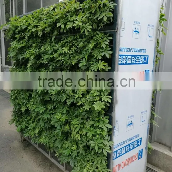 Vertical Landscape photo-5
