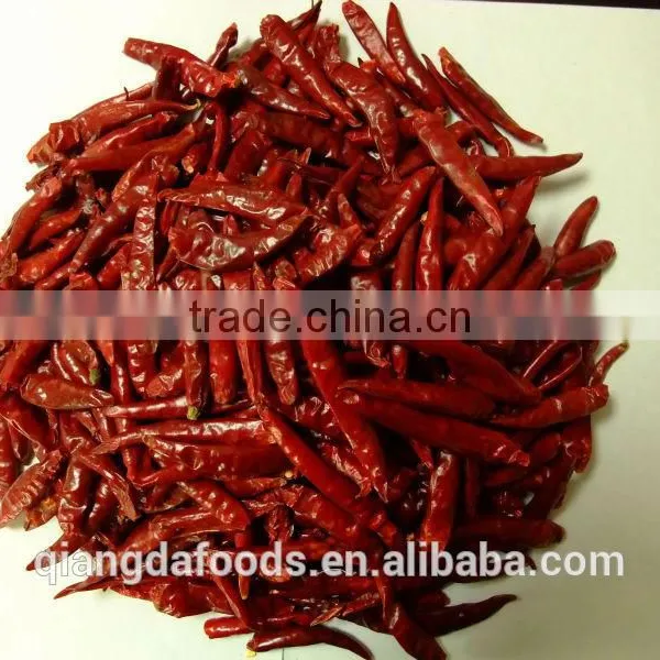 Hot Small Chaotian Chili photo-2