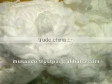 Cotton Bleached Comber Noil