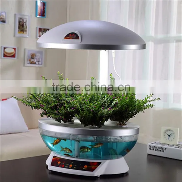Aquarium New Product photo-6