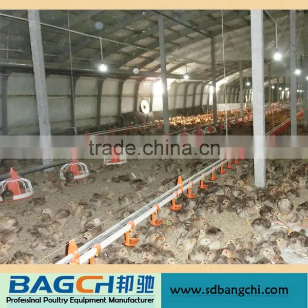 Automatic Nipple Drinking System for Poultry House photo-5