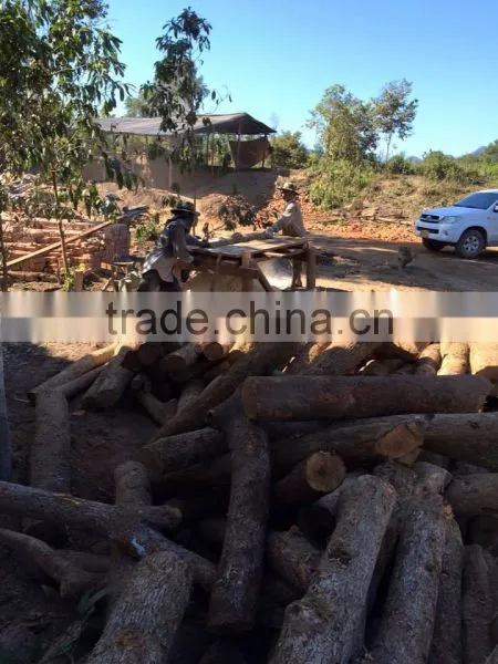 Made in VietNam - High Quality Wood Charcoal 100% Nature photo-3