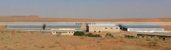 NFT System photo-6