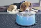 Pet-care Rubber Mat and Rubber Flooring for Pets