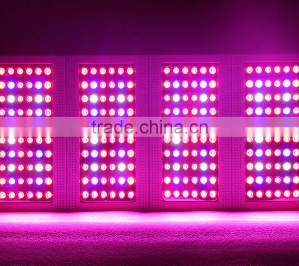 Full Spectrum Led Grow Light Bulb Full Spectrum 360w Panel Grow Led Light Led Grow Equal 600w Hps Led Grow Light photo-5