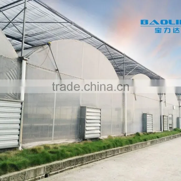 Baolida Hot Dip Galvanized Framework Polythene Greenhouse Greenhouse for Vegetables and Plant photo-2