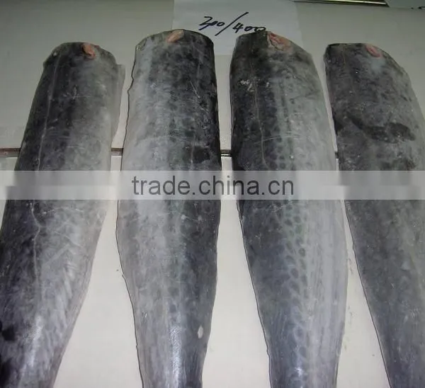 High Quality Frozen Spanish Mackerel Fillet photo-5