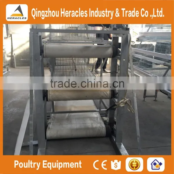 Trade Assurance Factory Price H Type Chicken Layer Cage for Broiler photo-5