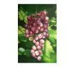Sell Handmade Oil Painting3
