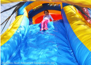 4 in 1 Royal Bouncy Castle With Slide, Castle Inflatable Combo, Inflatable Jumping Castle for Sale photo-4