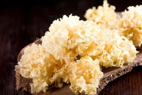 Tremella Drying Machine photo-5
