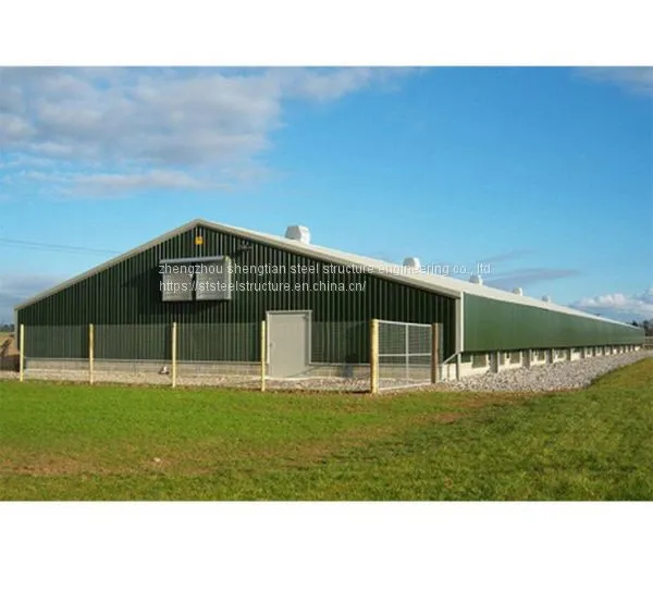 Low Cost Fast Construction Steel Structure Buildings Prefab Building for Farming photo-2