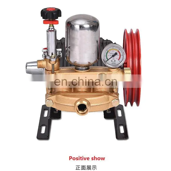Truthworthy General Gasoline Engine Honda Plunger Pump Cheap and Hot Style photo-6