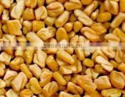 Fenugreek Seed