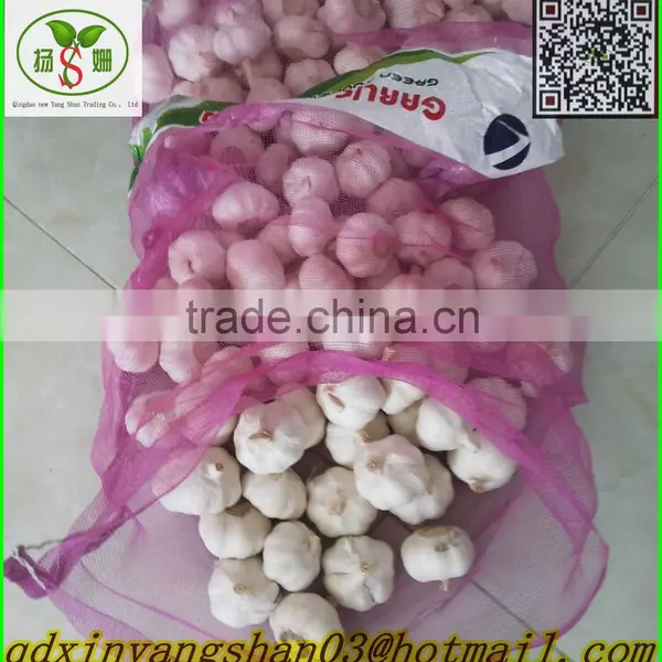 Fresh Pure White Garlic Price in China photo-2