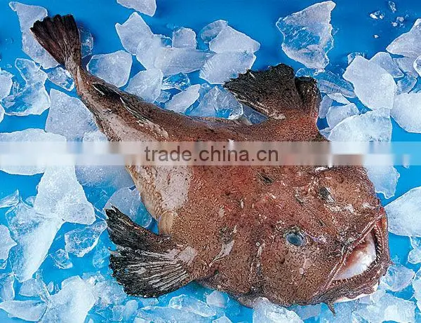 Frozen Fresh All Size Anglerfish
