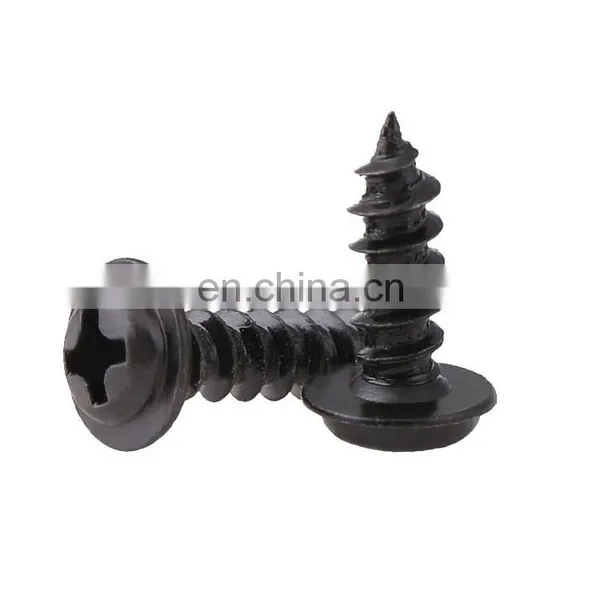 Stainless Steel Self-tapping Screws Pan Head M2-M6 Nickel Finish Phillips Drive photo-5
