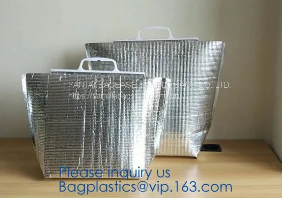 Insulated Thermal Non Woven Aluminum Foil Cooler Bag For Frozen Food,Reusable Insulated Aluminum Foil Thermal Lunch Cool