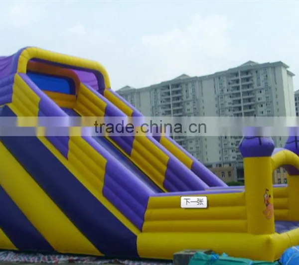 2015 Newest QI QI PVC Trapualin Inflatable Water Slides for Kids or Adults photo-5
