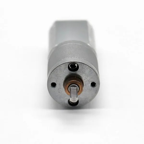 20mm 12v 24v Micro dc Gear Motor 130 Micro dc Motor for Beauty Equipment photo-4