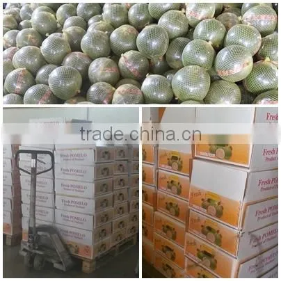 Fresh Pomelo