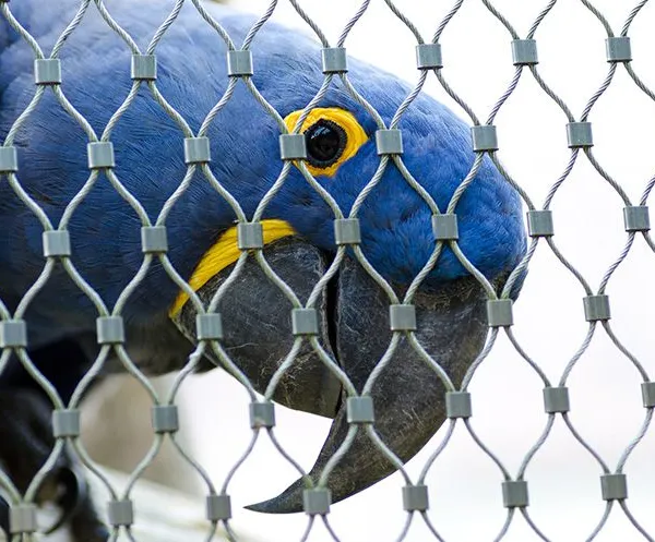 Bird Netting Fence / Bird Garden Roof Net / Eco Zoo Mesh Factory Direct Hot Sale Manufacturer Hot Sale photo-4