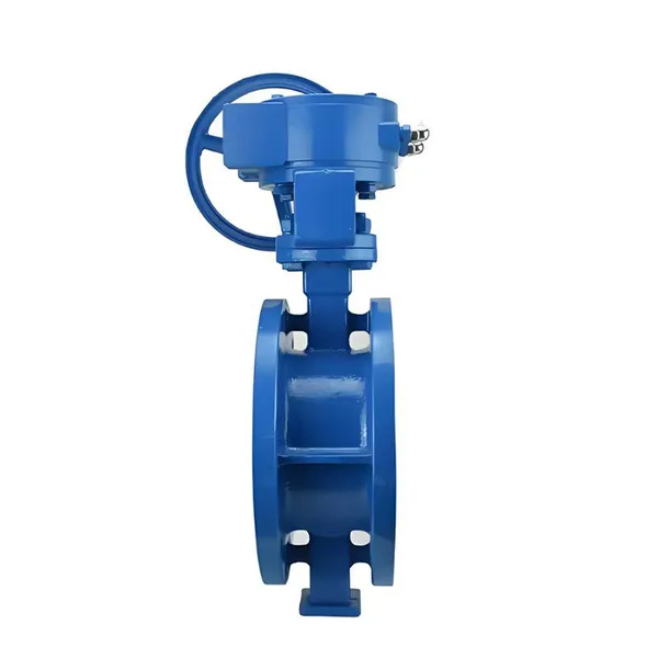 Manufacturer Direct Sales of High-quality Manual Turbine Cast Steel Hard Sealed Flange Butterfly Valve photo-2