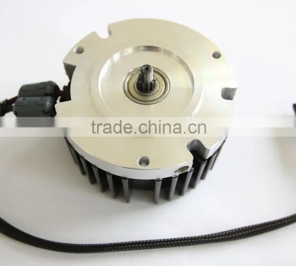 Brushless DC Electric Motor