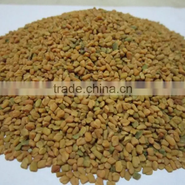 Fenugreek Seeds