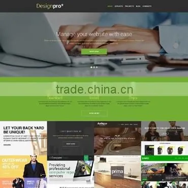 Professional Web Development photo-2