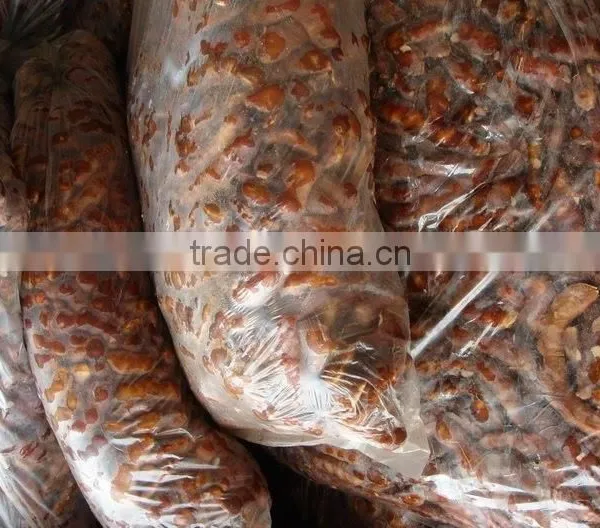 Sour Tamarind