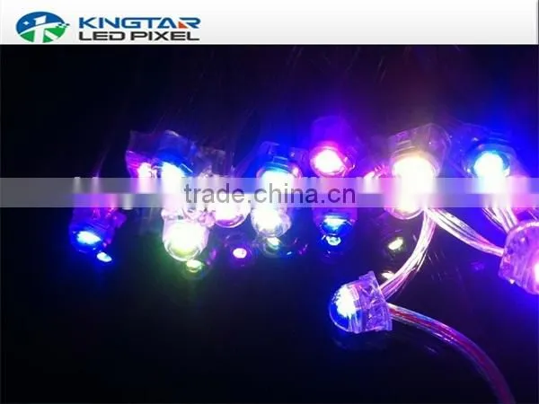 China Ws2812B Led Light String photo-2