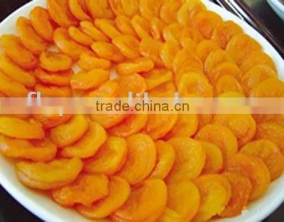 Dried Apricot