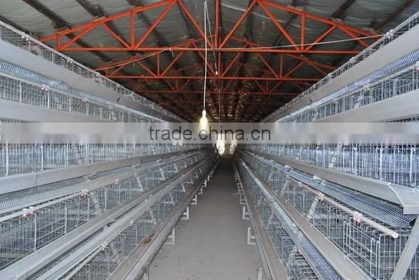 Stainless Steel Metal Chicken Farm Equipment photo-2