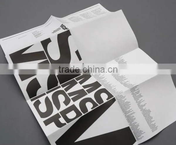 2013 Hot Sales! A4 Size Full Color Printing Folded Leaflet for Hair Dying photo-4