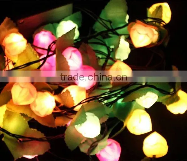 New Product Special Design Outdoor Christmas Led String Light From China photo-2