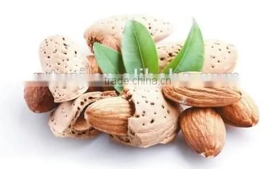 Pure Sweet Almond Oil Vegetable Oil Plant Oil Essential Oil In A Bulk China Manufacturer photo-2