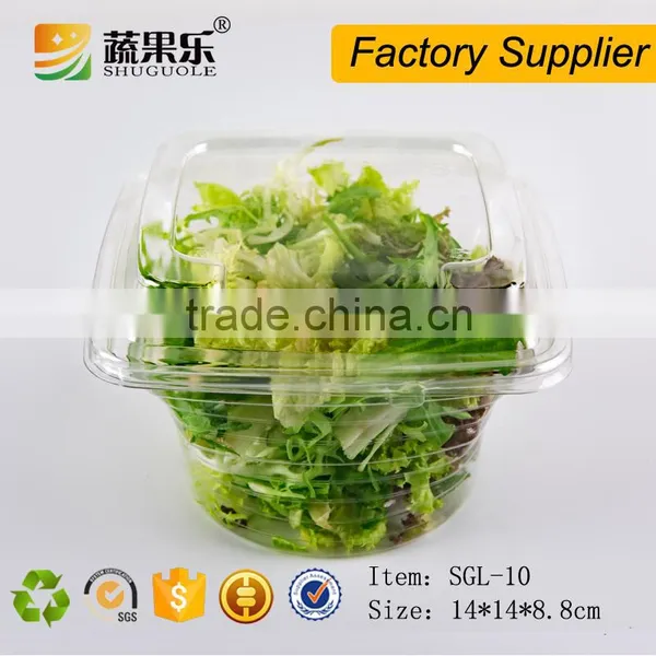 Food Use and PET Plastic Type Disposable Food Salad Container With Lid photo-3