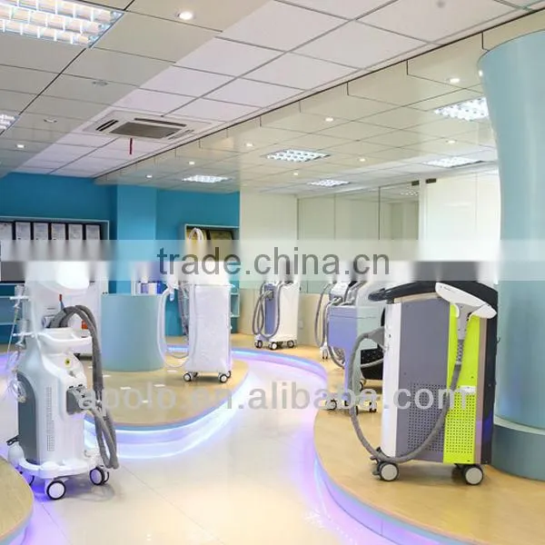 Portable Permanent 810nm Diode Laser Hair Removal Machine (HS-810) photo-5