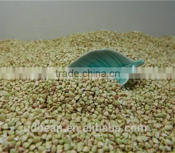 High Quality Sweet Raw Buckwheat Roasted Buckwheat Price photo-5