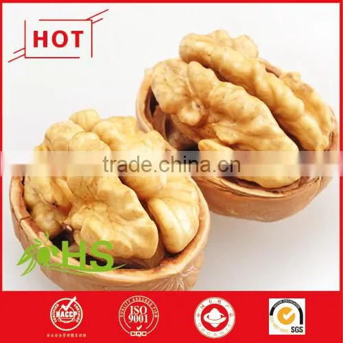 Good Price and Highly Nutritive Walnuts for Sale photo-3