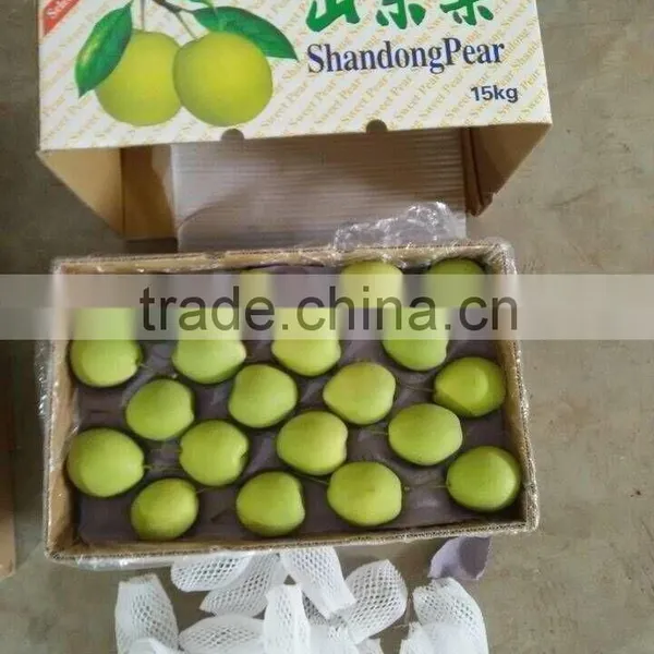 Shandong Pear photo-3