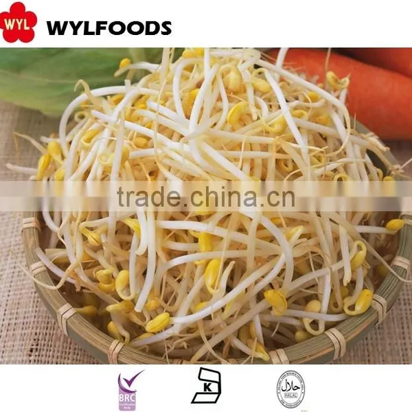 High Quality Frozen Soybean Sprout 2015 Best Price photo-2