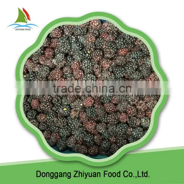 High Quality Organic Black Berries photo-2