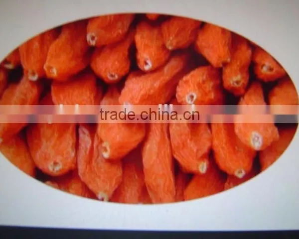 Goji Berry for Medicines photo-5